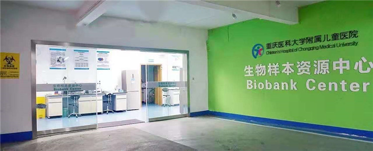 样4.jpg