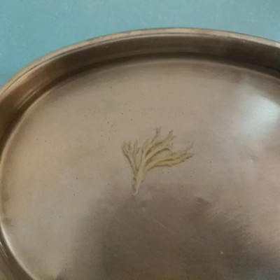 1681951544709945.jpg 分泌物_副本.jpg