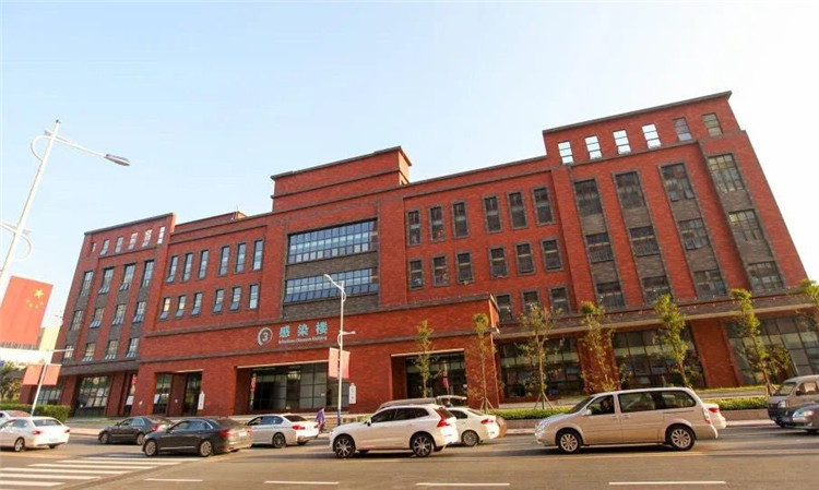 感染2 (2).jpg