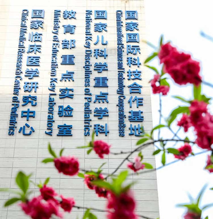 1672727340966607.jpg 元1_副本.jpg