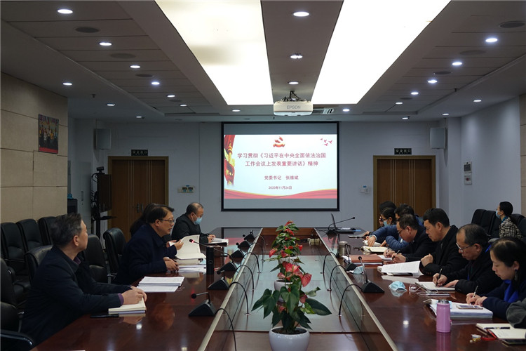 党委书记张维斌领学习近平重要讲话.jpg