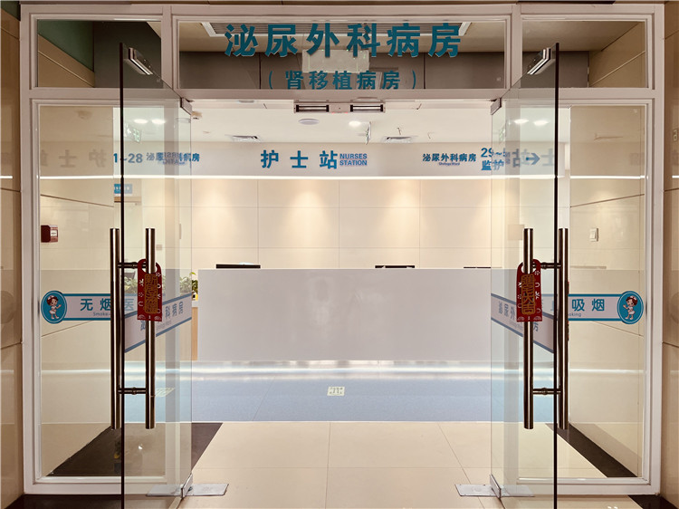泌尿.jpg