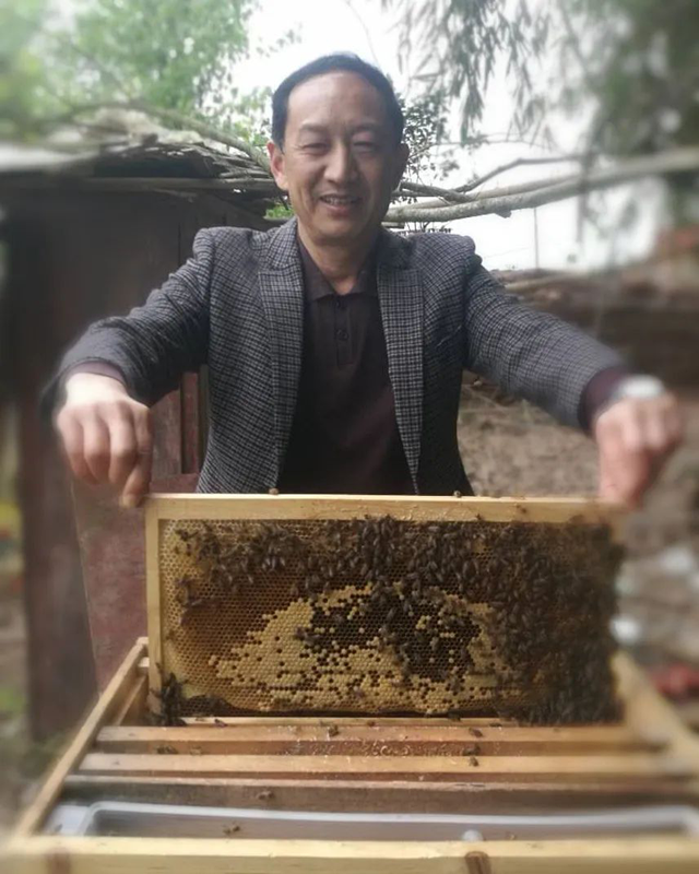 图片2_副本.png