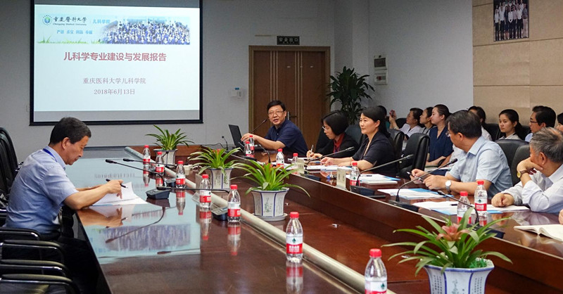 赵晓东副院长作汇报_副本.jpg