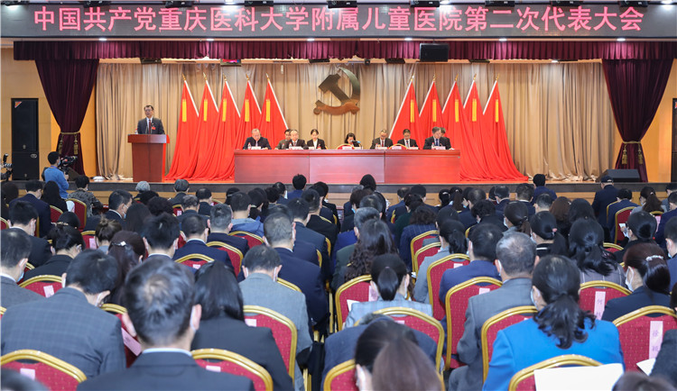 张书记做报告.jpg