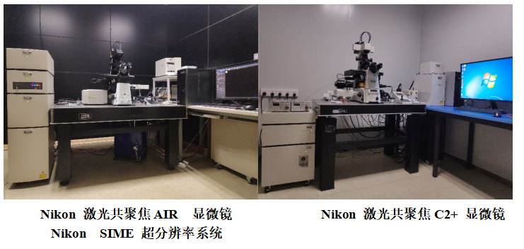 1637742044441979.png 图片1.png